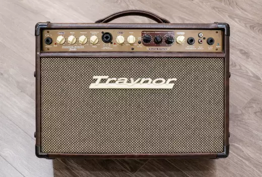 Traynor - 2-Channel Compact Stereo Acoustic Guitar Amp - 65 Watts 2